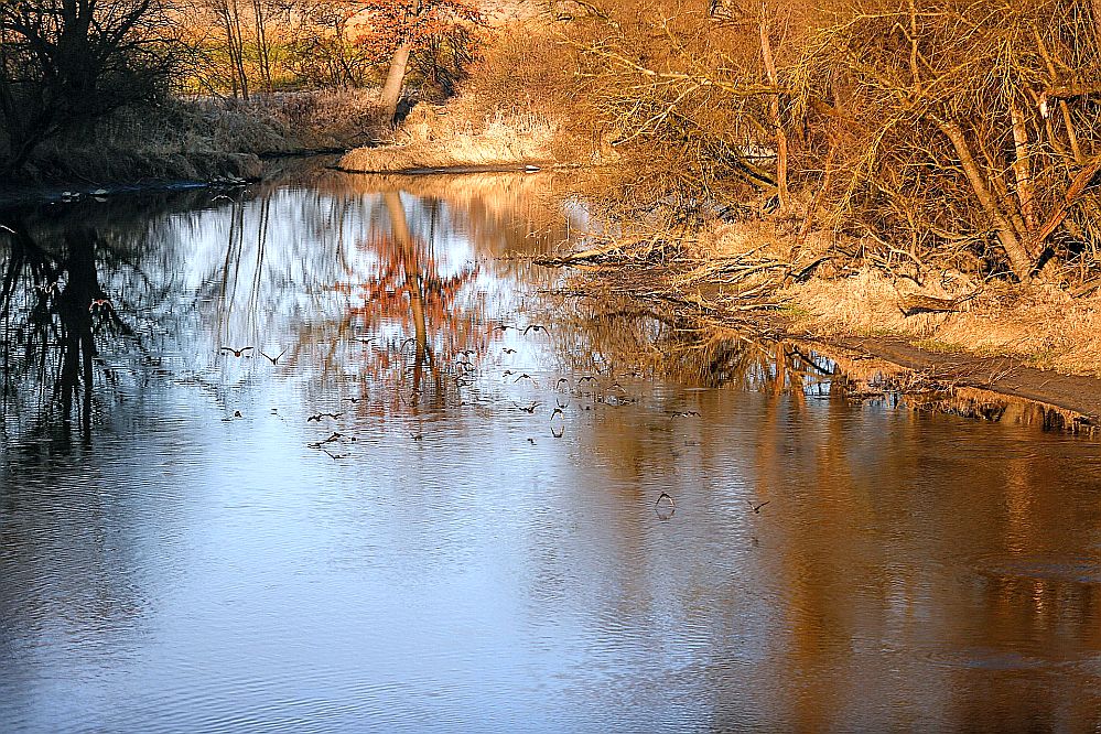 II NIEDZIELA ZWYKŁA